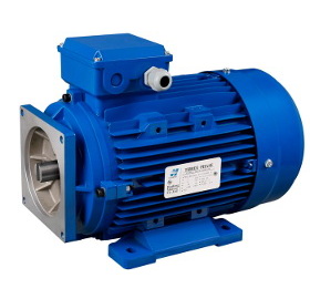 Motors for Hydraulic Power Unit