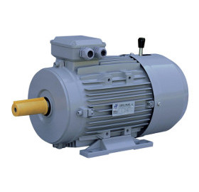 Three Phase Brake Motors