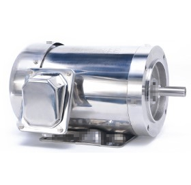 Three Phase Stainless Steel
                                            Motors